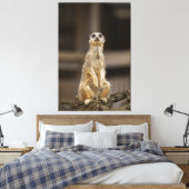 Posing Meerkat Canvas Afdruk (Insitu (Slaapkamer))