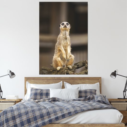 Posing Meerkat Canvas Afdruk (Insitu (Slaapkamer))