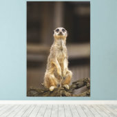 Posing Meerkat Canvas Afdruk (Insitu (Houten vloer))