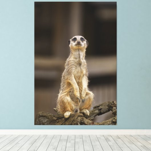 Posing Meerkat Canvas Afdruk (Insitu (Houten vloer))