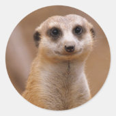 Posing Meerkat Ronde Sticker (Voorkant)