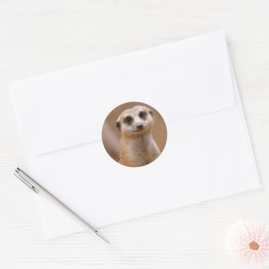 Posing Meerkat Ronde Sticker (Envelop)