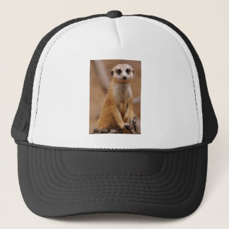 Posing Meerkat Trucker Pet