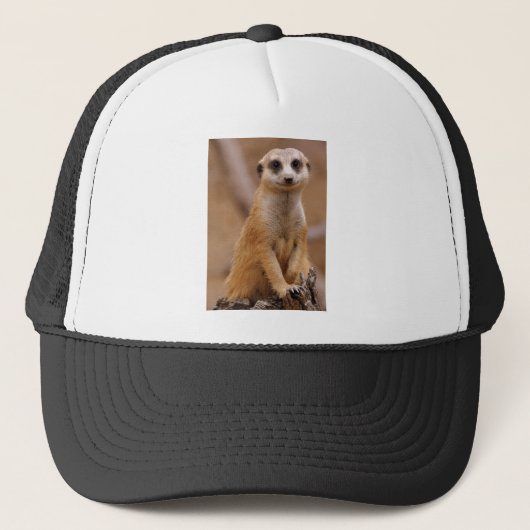 Posing Meerkat Trucker Pet (Voorkant)