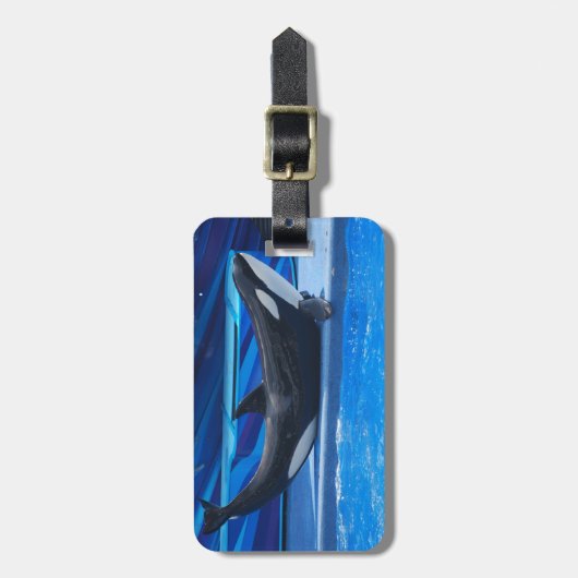 Posing Orca Bagagelabel (Voorkant verticaal)