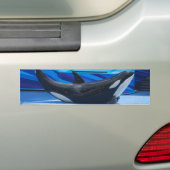 Posing Orca Bumpersticker (Op auto)