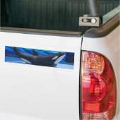 Posing Orca Bumpersticker (Op Truck)