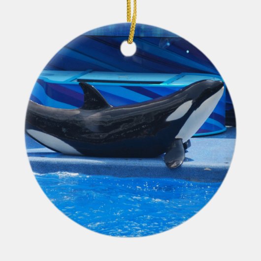 Posing Orca Ornament (Voorkant)