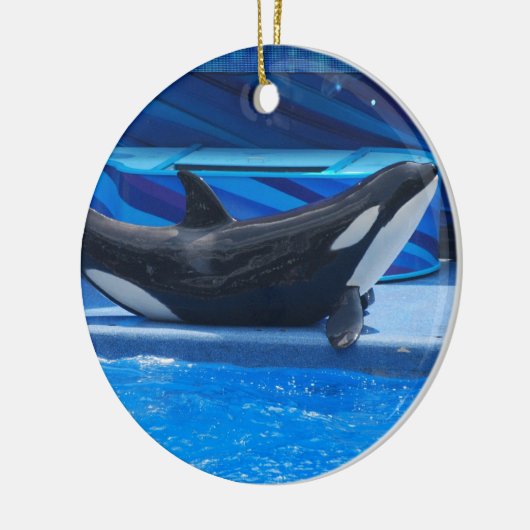 Posing Orca Ornament (Links)