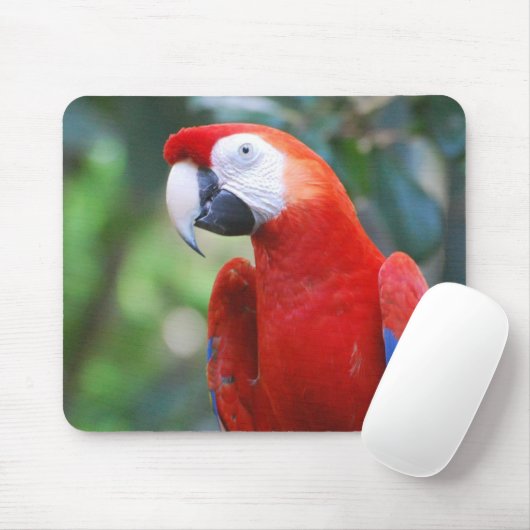 Posing Parrot-Muismat Muismat (Met muis)