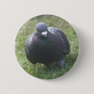Posing Pigeon Button