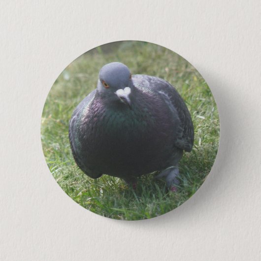 Posing Pigeon Button (Voorkant)