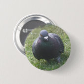 Posing Pigeon Button (Voorkant /achterkant)
