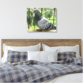 Posing Pigeon Canvas Afdruk (Insitu (Slaapkamer))
