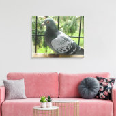 Posing Pigeon Canvas Afdruk (Insitu (Woonkamer))