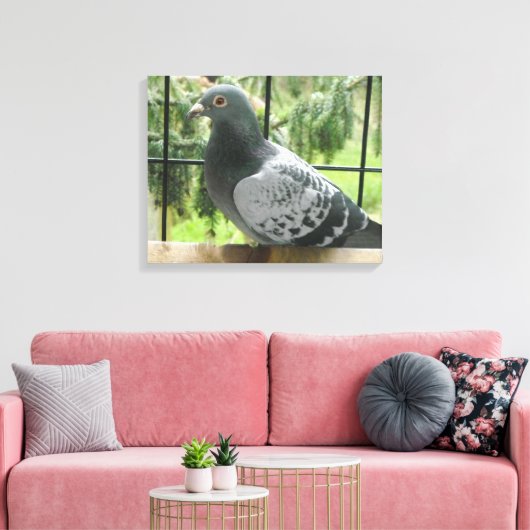 Posing Pigeon Canvas Afdruk (Insitu (Woonkamer))