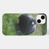 Posing Pigeon Case-Mate iPhone Case (Achterkant (horizontaal))