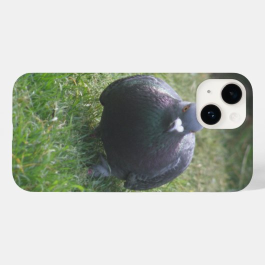Posing Pigeon Case-Mate iPhone Case (Achterkant (horizontaal))