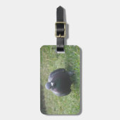 Posing Pigeon Custom Bagagelabel (Voorkant verticaal)