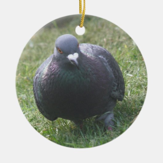 Posing Pigeon Custom Birthday Keramisch Ornament (Voorkant)