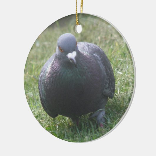 Posing Pigeon Custom Birthday Keramisch Ornament (Links)