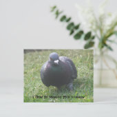 Posing Pigeon Custom Briefkaart (Staand voorkant)