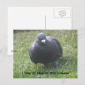 Posing Pigeon Custom Briefkaart (Voorkant / Achterkant)
