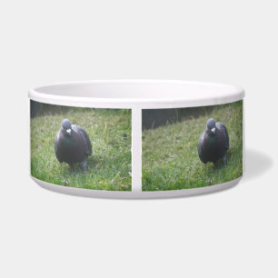 Posing Pigeon Dog Bowl Voerbakje