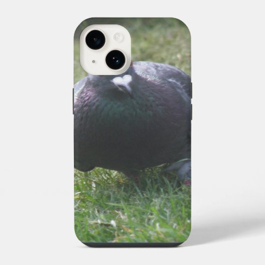 Posing Pigeon iPhone Hoesje (Achterkant)