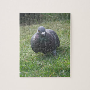 Posing Pigeon Legpuzzel