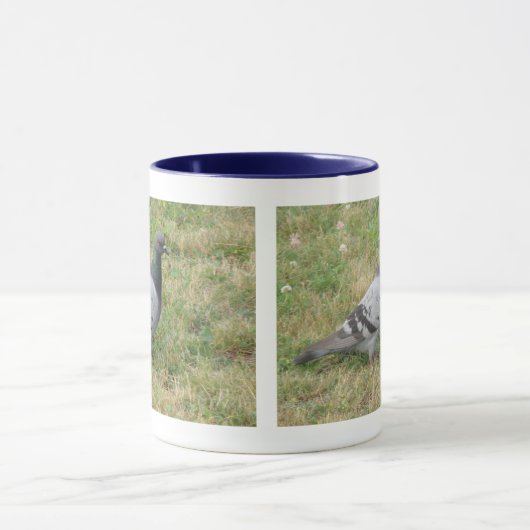 Posing Pigeon Mok (Midden)