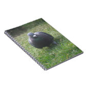 Posing Pigeon Notitieboek (Rechterzijde)