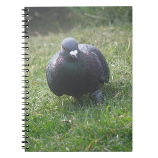 Posing Pigeon Notitieboek (Voorkant)