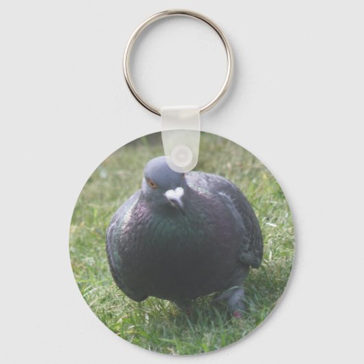 Posing Pigeon Sleutelhanger (Voorkant)