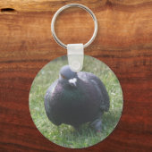 Posing Pigeon Sleutelhanger (Voorkant)