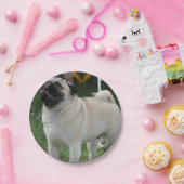 Posing Pug Papieren Bordje (Feest)