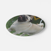 Posing Pug Papieren Bordje (Gekanteld)