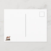 Posing Red Fox Briefkaart (Achterkant)