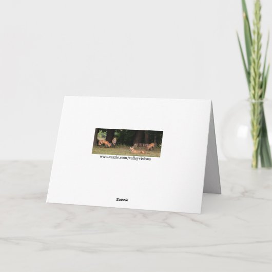 Posing Red Fox Kaart (Achterkant)