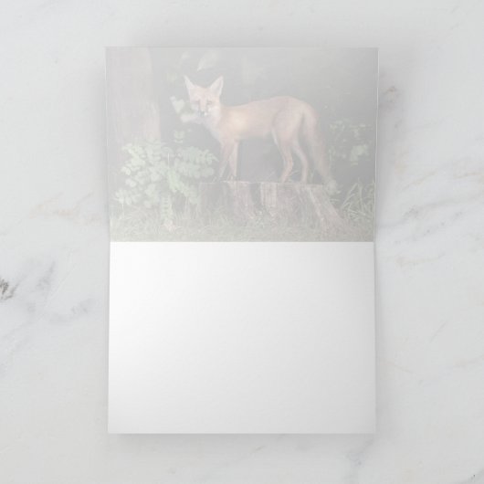 Posing Red Fox Kaart (Binnen)