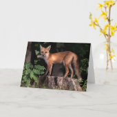 Posing Red Fox Kaart (Gele Bloem)