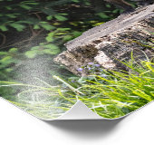 Posing Red Fox Kit Fotoprint Foto Afdruk (Hoek)