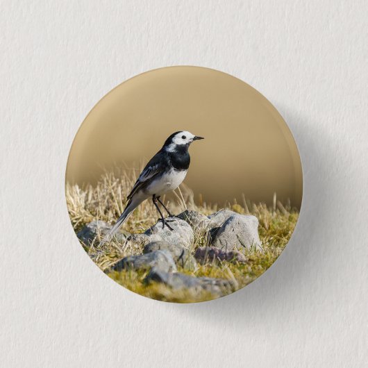 Posing Wagtail Ronde Button 3,2 Cm (Voorkant)