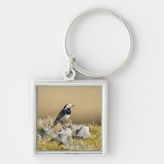 Posing Wagtail Sleutelhanger (Voorkant)