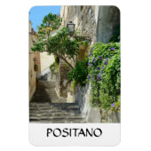Positano, Italië Magneet (Verticaal)