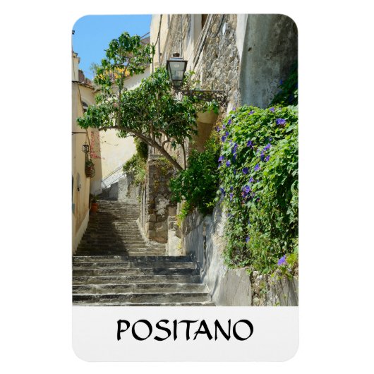 Positano, Italië Magneet (Verticaal)
