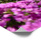 Positano-Poster Poster (Hoek)