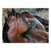 Positief koninklijk foto afdruk (Voorkant)