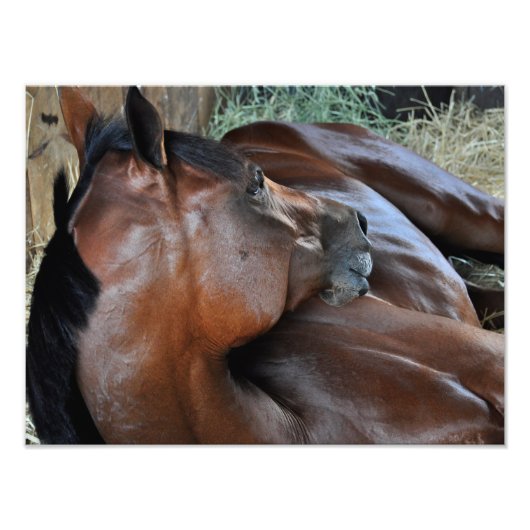 Positief koninklijk foto afdruk (Voorkant)