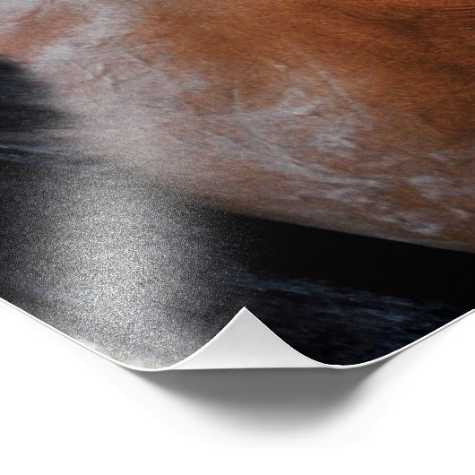 Positief koninklijk foto afdruk (Hoek)